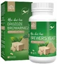 Temptation RawDietLine Brewing Yeast for Dog and Cat 120 ...