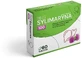 Ring Silymarin 100 60 tablets