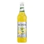 Monin Limonademix Limonadeconcentraat 1 l (Vervaldatum ...