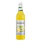 Monin Limonademix Limonadeconcentraat 1 l (Vervaldatum ...