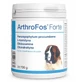 Dolvit Arthrofos Forte 700 g