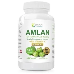 Wish Amlan Original Forte 4000 mg 120 gélules.