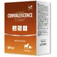 VETFOOD Rekonvaleszenz TS Diät 10 x 50 g