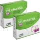 Ring Silymarin 100 60 Tabletten Mehrfachpackung x 2