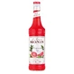 Monin Roze Pompelmoessiroop 0,7 l