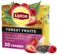 Lipton black express tea with strawberries from France 20 ...