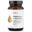 Adaptogens + Cordyceps plant extracts 60 capsules