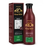 Champ-Richer spray volumateur 250 ml