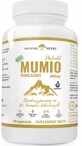 Altopharma Himalaya Mumio Extrakt 400 mg 90 Kapseln.