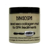 BINGOSPA Nămol de colagen de la Marea Moartă 250 g