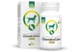 Temptation ChondroLine ChondroCare 120 tabletten