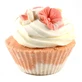 BOSPHAERA Muffin de baño de arándanos 100 g