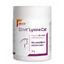 Dolvit Kat Lysine 70 g