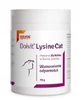 Dolvit Cat Lisina 70 g
