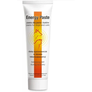 Dolvit Energy Paste 100 g