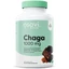Osavi Chaga 1000 mg 120 Kapseln