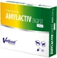 VETFOOD Amylactiv Digest MINI 30 capsules.