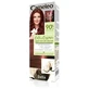Color Essence hair color cream like herbal henna ...