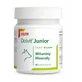 Dolvit Junior 90 minitabletten