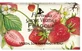 FLORINDA Natural vegetable soap strawberry 100 g