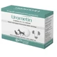 Urométine 40 gélules