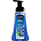 HUGVA Espuma Lavamanos Arándano 500 ml.