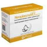 NeoplasmaVET amino 40 cápsulas