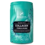 Holista Colágeno Tipo II Puro 200 g