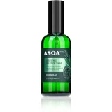 Asoa Tea Tree Hydrolat 100 ml