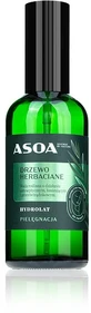 Asoa Hidrolato de Árbol del Té 100 ml