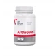 Vetexpert Arthrovet Ha complex for dog and cat 60 tablets