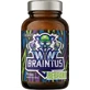 Ostrovit Braintus Respawn, 90 capsules