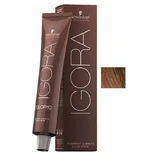 SCHWARZKOPF IGORA Permanent Hair dye 6-4 60 ml