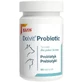 Dolvit Probiotic, 60 tabletten