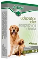 Adaptives Halsband für Hunde 75 cm
