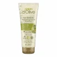 DALAN D'Olive Nourishing Cream with Natural Olive Oil 250 ...