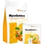 MycoMedica MycoGolden koffeinfreies Getränk, angereichert mit Reishi und ...