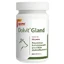 Dolvit Gland, 60 tablets
