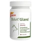 Dolvit Gland, 60 tablets
