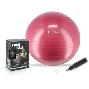 Pelota de gimnasia Abisal HMS Ciruela 65 cm YB01