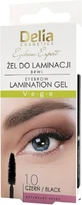 DELIA Eyebrow Expert Gel Laminant Sourcils 1.0 noir 4 ml