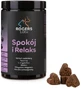ROGERS Labs Calm and Relax supplemental dog food ...