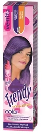 VENITA TRENDY COLOR Spumă 40 Purple Fantasy 75 ml