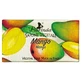 FLORINDA Natuurlijke mango plantaardige zeep 100 g