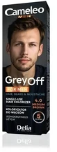 DELIA CAMELEO MEN GREY OFF Hair, beard and mustache dye ...