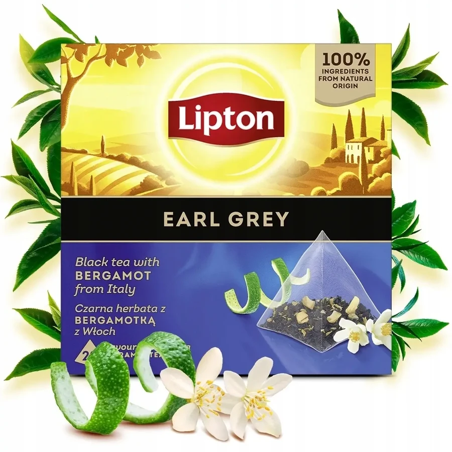 Lipton Earl Grey zwarte snelthee met bergamot 20 ...