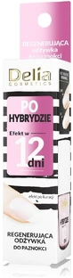 DELIA After Hybrid Nail Repair Conditioner Effect in ...
