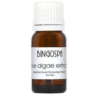 BINGOSPA Fünf-Algen-Extrakt 10 ml