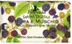 FLORINDA natural vegetable soap, blackberry 100 g