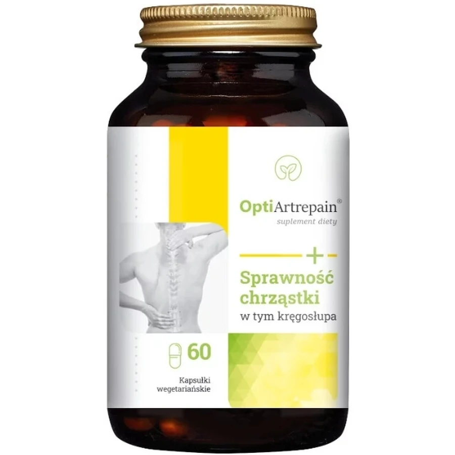 NaturDay Artrepain Spirulina 60 capsules